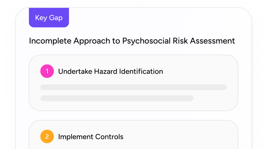 psychosocial safety strategy