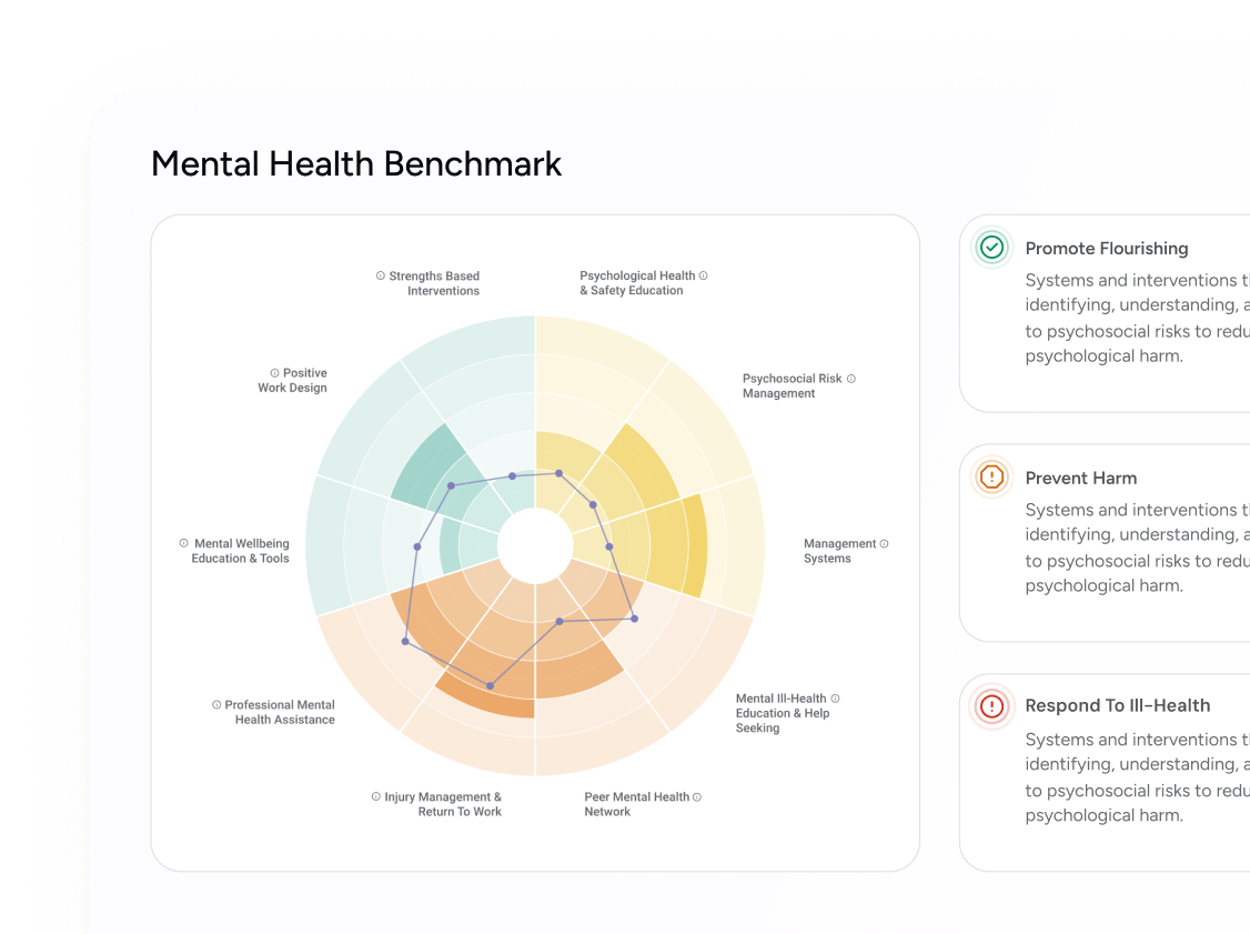 psychosocial safety strategy